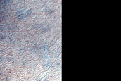 Terrain Sample
