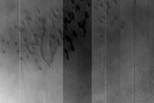Dune Monitoring in Crater