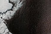 South Polar Residual Cap Intraseasonal Change Monitoring