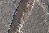 Flow Margin