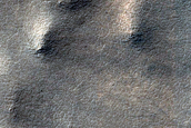 Terrain Sample