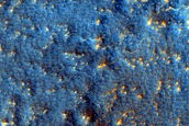Terrain Sample