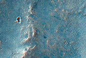 Bright Materials in Nectaris Fossae