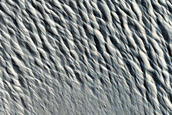 Terrain Sample