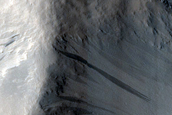 Terrain Sample
