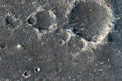 Elysium Planitia