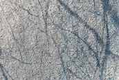 Terrain Sample