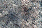 Terrain Sample