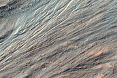 Flow Ridge in Nereidum Montes