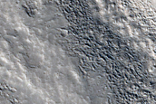 Terrain Sample