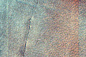 Terrain Sample
