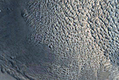 Terrain Sample