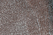 Terrain Sample