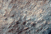 Terrain Sample