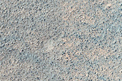 Terrain Sample