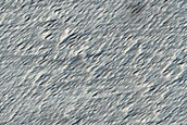 Monitoring Recent Impact Site