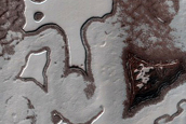 South Polar Residual Cap Intraseasonal Change Monitoring