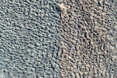Crater into Lobate Debris Apron in Phlegra Dorsa
