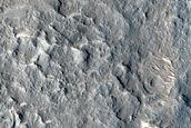 Terrain Sample