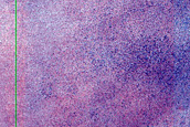 Terrain Sample