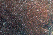 Terrain Sample