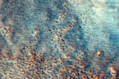Terrain Sample