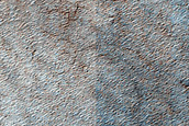 Fans and Seasonal Polygonal Features