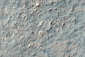 Monitoring Dust Devil Tracks