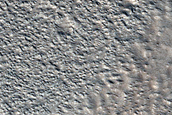 Terrain Sample
