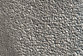 Terrain Sample