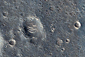 Nepenthes Planum