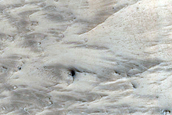 Ridges in Nilosyrtis Region