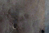 Re-Image Candidate Recent Impact Site