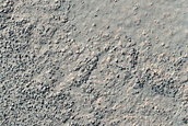 Terrain Sample