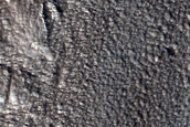 Tempe Terra