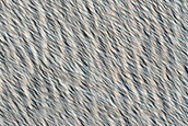 Terrain Sample