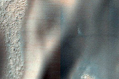 Monitoring Dust Devil Tracks