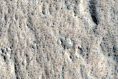 Terrain Sample