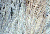 Gully Monitoring
