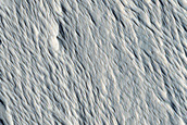 Terrain Sample