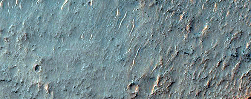 Trough with Dunes and Gullies