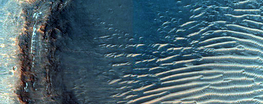 Bright Exposed Crater Wall Features in Oxia Planum
