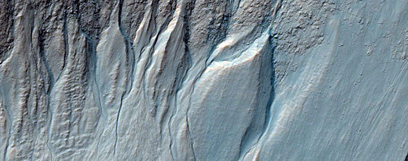 Gully Monitoring and Topography