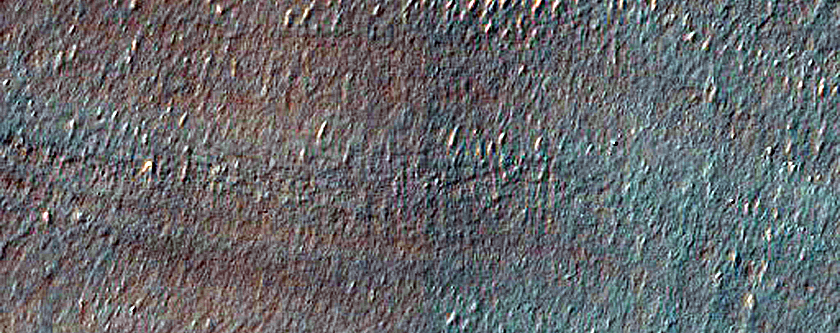 Small South Facing Gullies in Glaciated Crater