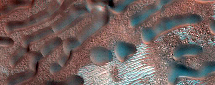 Dune Monitoring