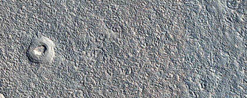 Monitoring Dust Devil Tracks