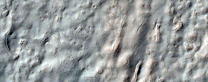 Gully Monitoring