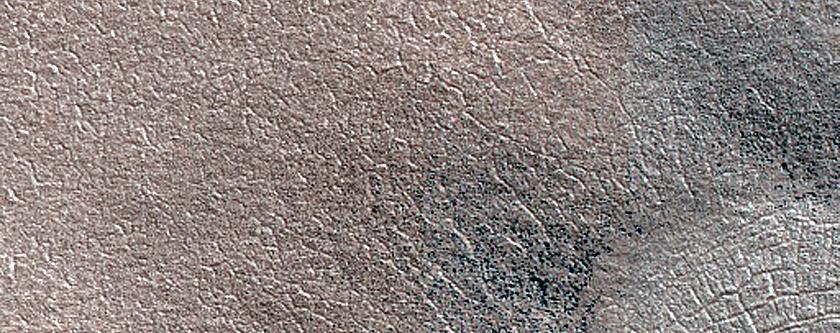 Terrain Sample