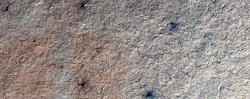 Terrain Sample