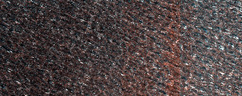 Terrain Sample